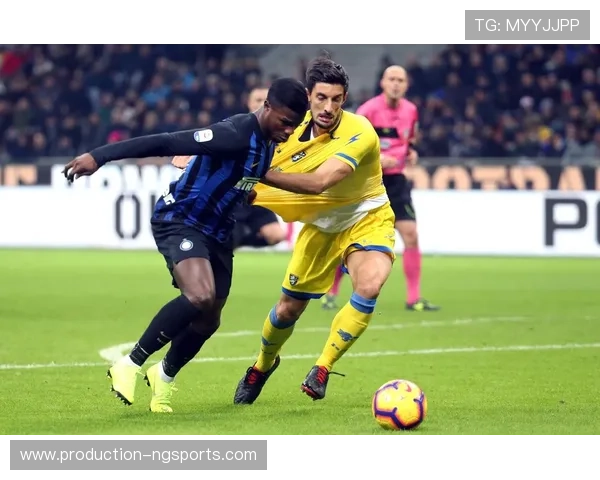 弗罗西诺内俱乐部最新动态与赛季备战进展全面解析